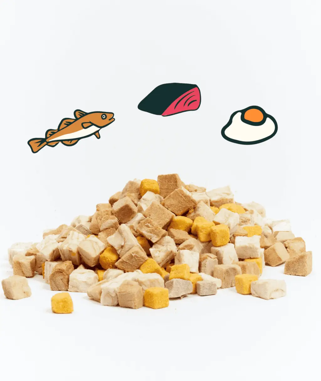 (10g) 3-in-1 Wild-Caught Marine Omega Freeze-Dried Cubes Trial Pack - Image 3