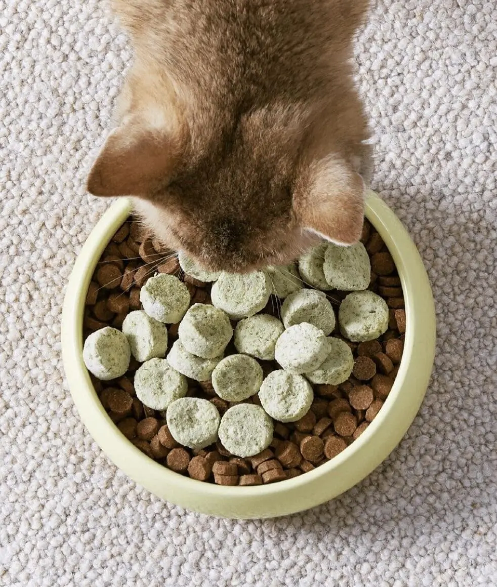 ActivePlay Catnip Freeze-Dried Chunks - Image 3