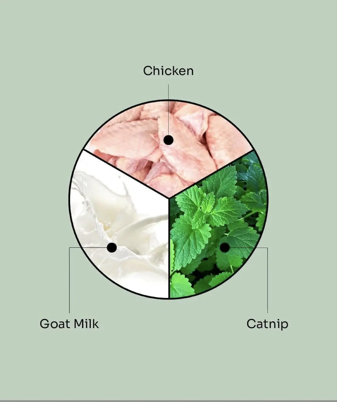 ActivePlay Catnip Freeze-Dried Chunks - Image 4