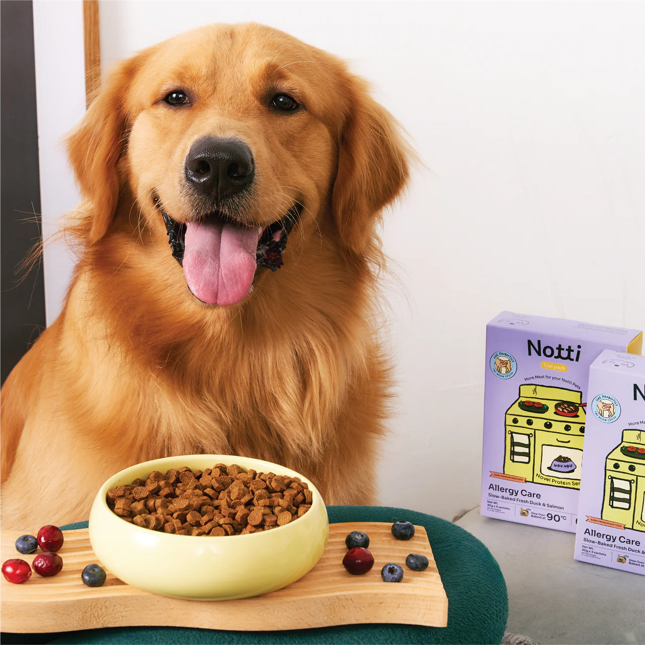 Allergy Care Slow-Baked Fresh Duck & Salmon Trial Kit - Image 3