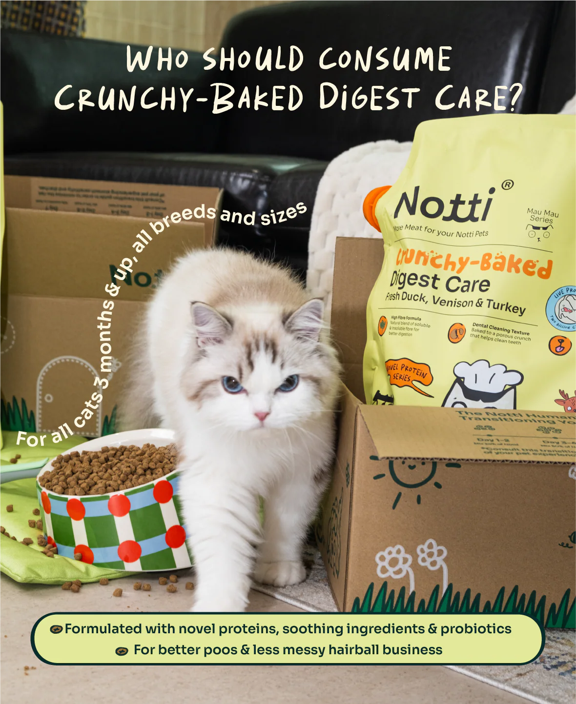 Crunchy-Baked Digest Care Fresh Duck, Venison & Turkey - Image 17