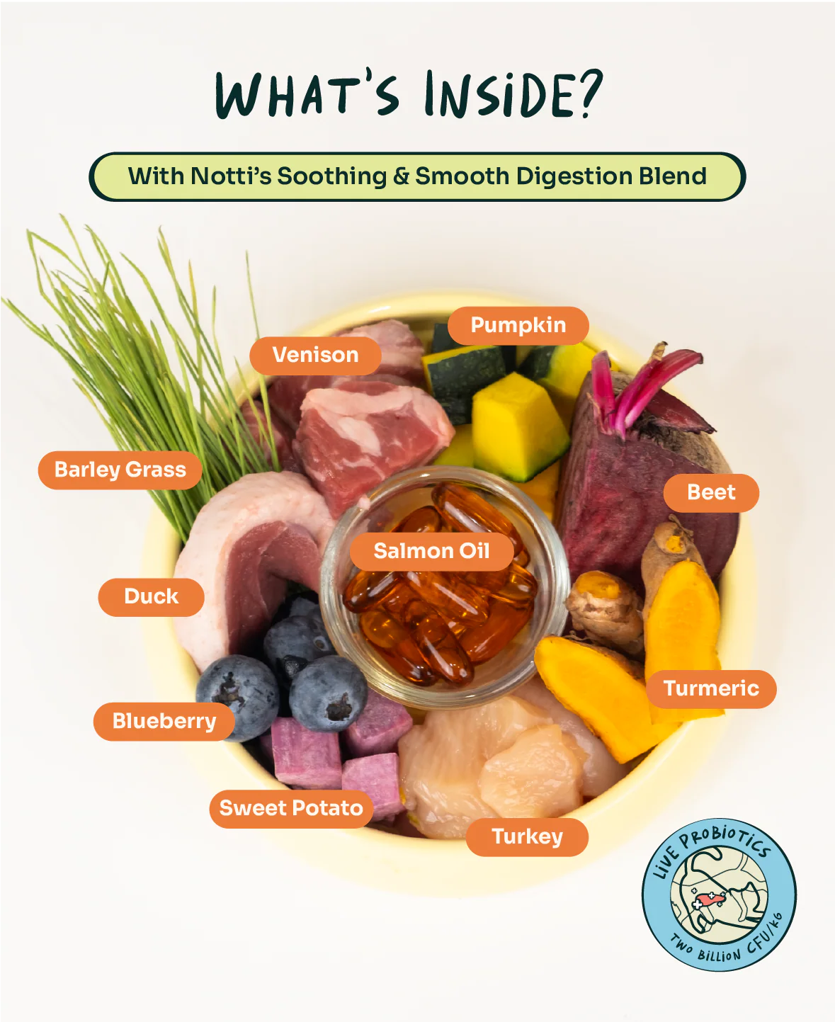 Crunchy-Baked Digest Care Fresh Duck, Venison & Turkey - Image 6