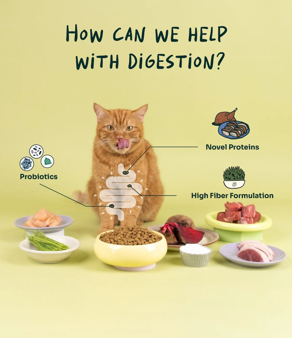 Crunchy-Baked Digest Care Fresh Duck, Venison & Turkey Trial Pack - Image 3