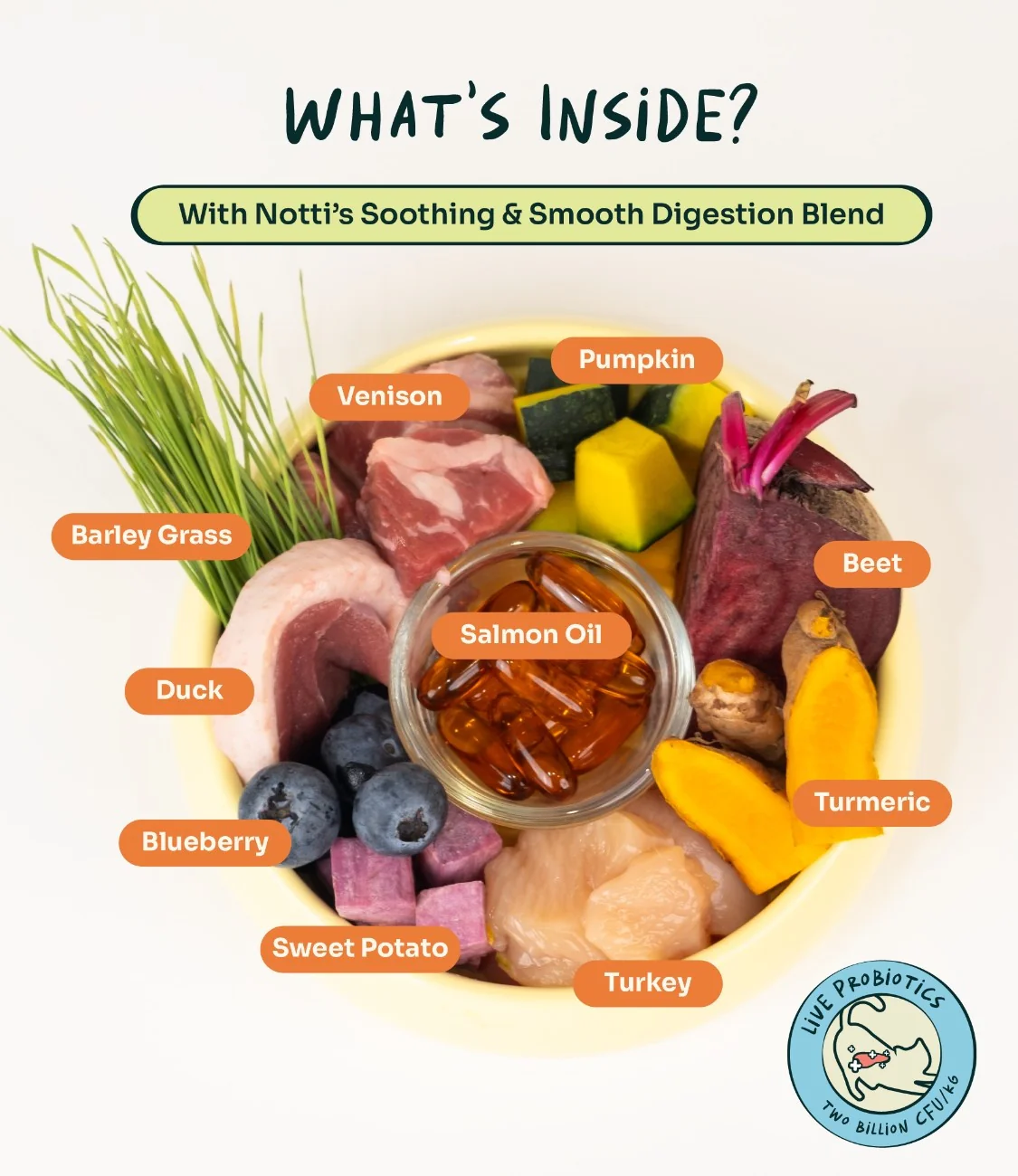 Crunchy-Baked Digest Care Fresh Duck, Venison & Turkey Trial Pack - Image 7