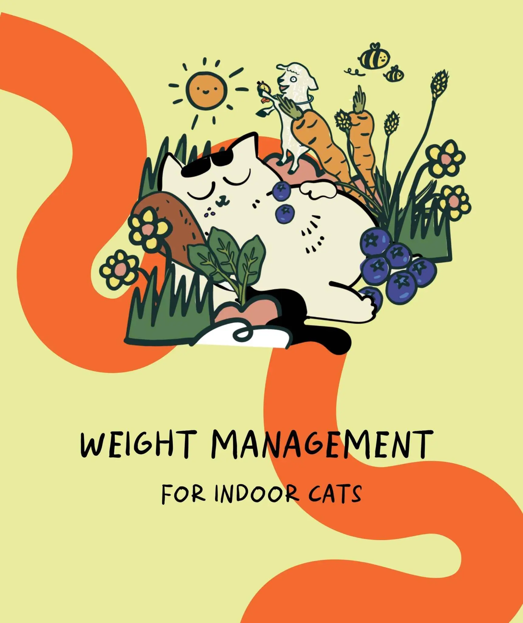 (For Indoor Cats) Slow-Baked Fresh Chicken & Lamb Weight Care - Image 11
