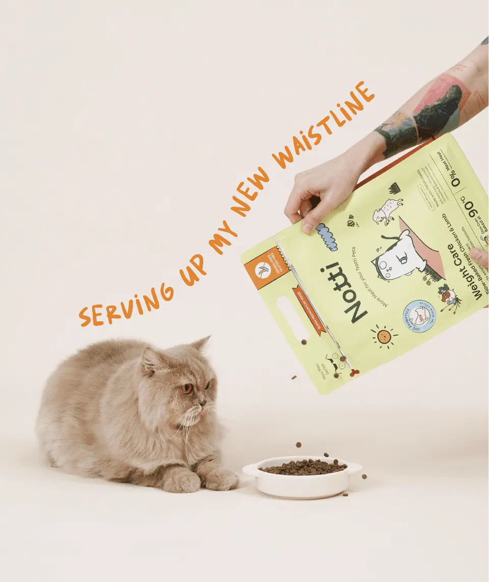 (For Indoor Cats) Slow-Baked Fresh Chicken & Lamb Weight Care - Image 6