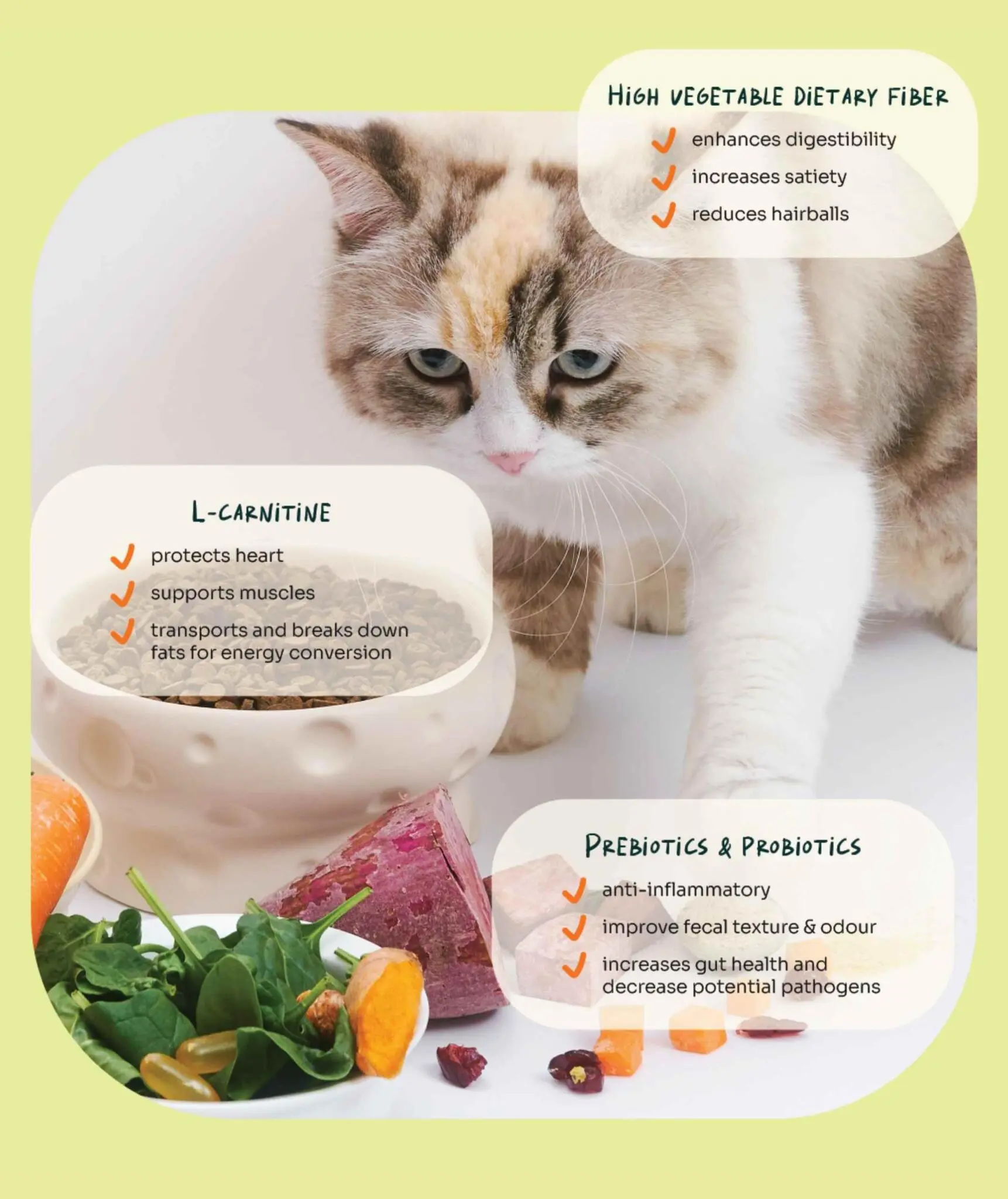 (For Indoor Cats) Slow-Baked Fresh Chicken & Lamb Weight Care - Image 7
