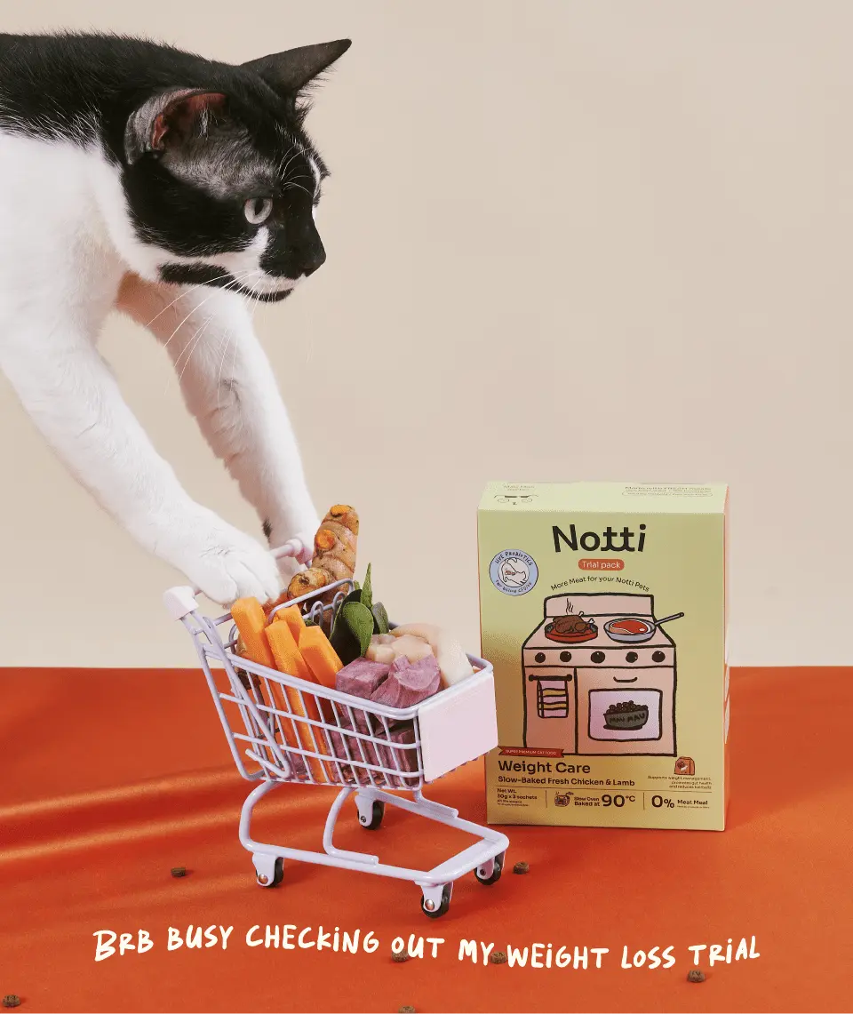 (For Indoor Cats) Slow-Baked Fresh Chicken & Lamb Weight Care Trial Kit - Image 4