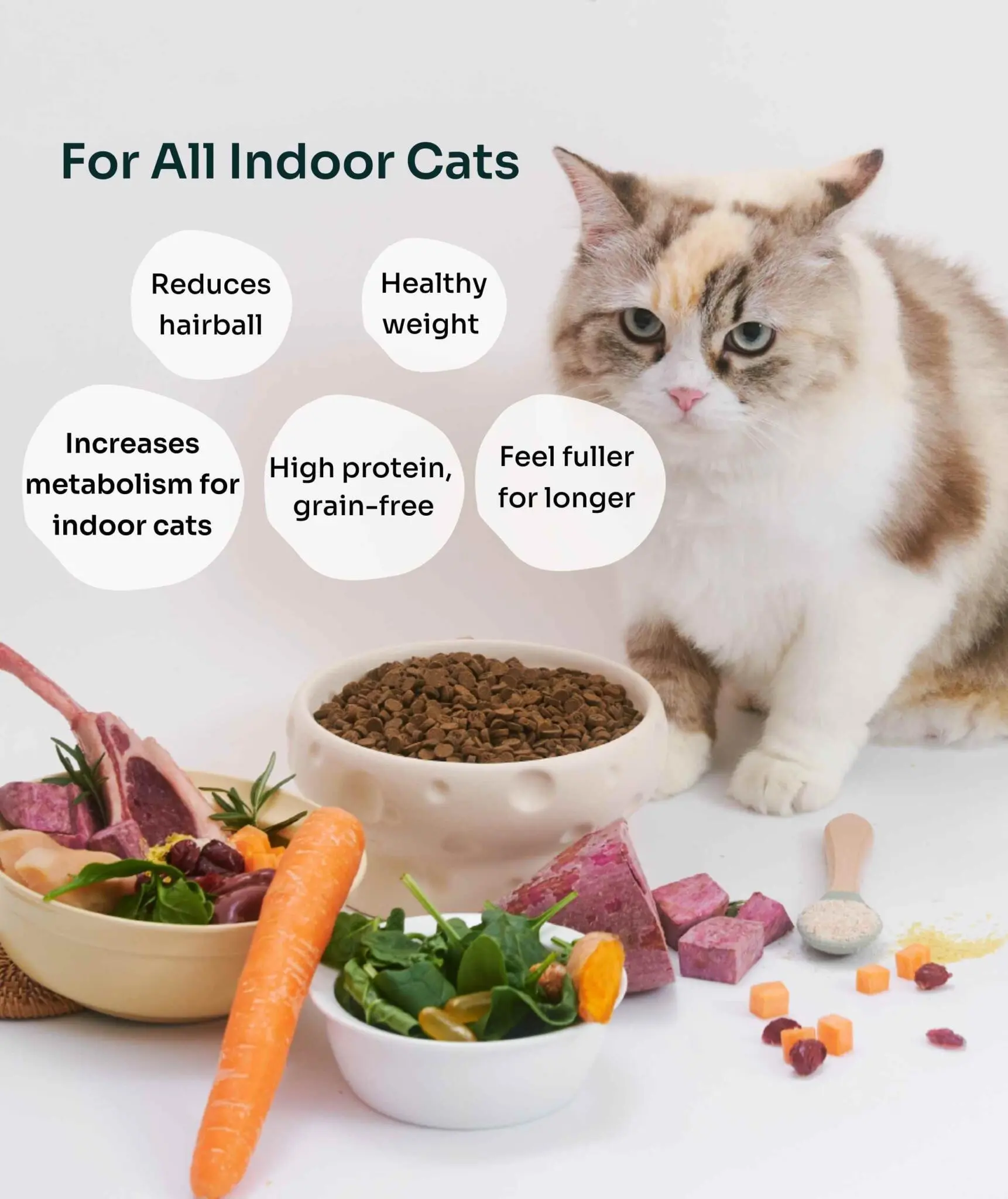 (For Indoor Cats) Slow-Baked Fresh Chicken & Lamb Weight Care Trial Kit - Image 5
