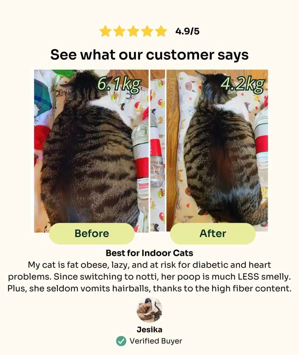 (For Indoor Cats) Slow-Baked Fresh Chicken & Lamb Weight Care Trial Kit - Image 6