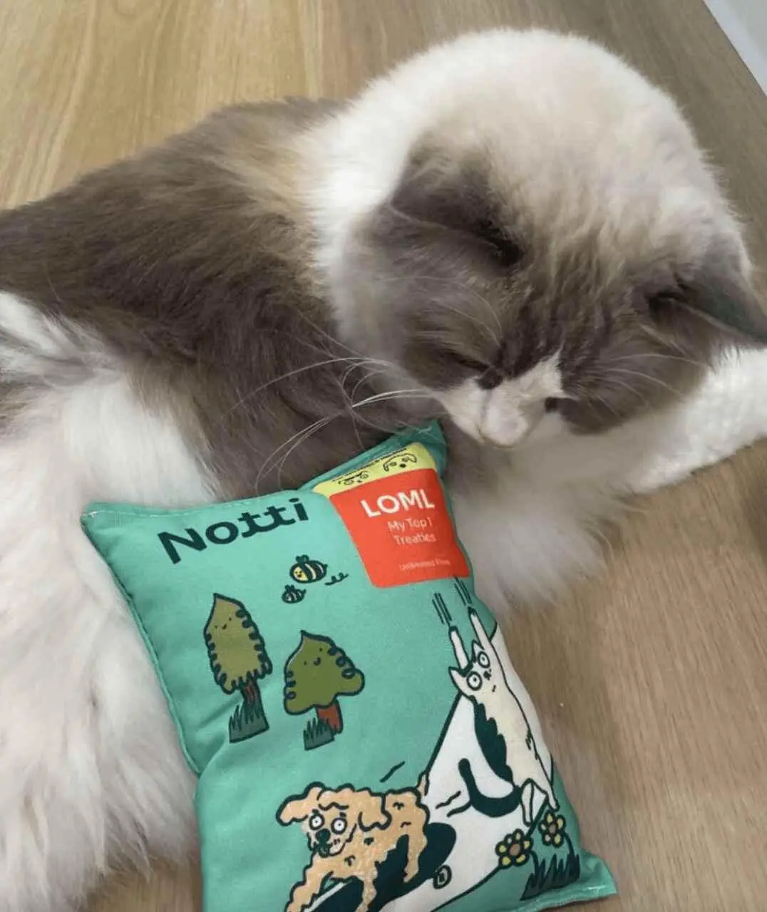 It's Snack Time! Plushie (Limited Edition) - Image 6