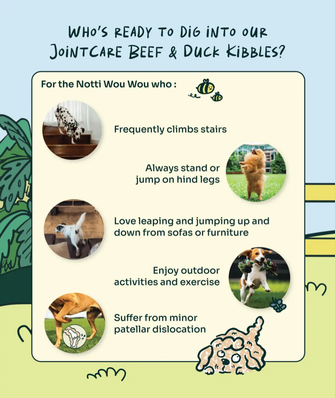 Joint Care Fresh Duck & Beef Trial Pack - Image 10