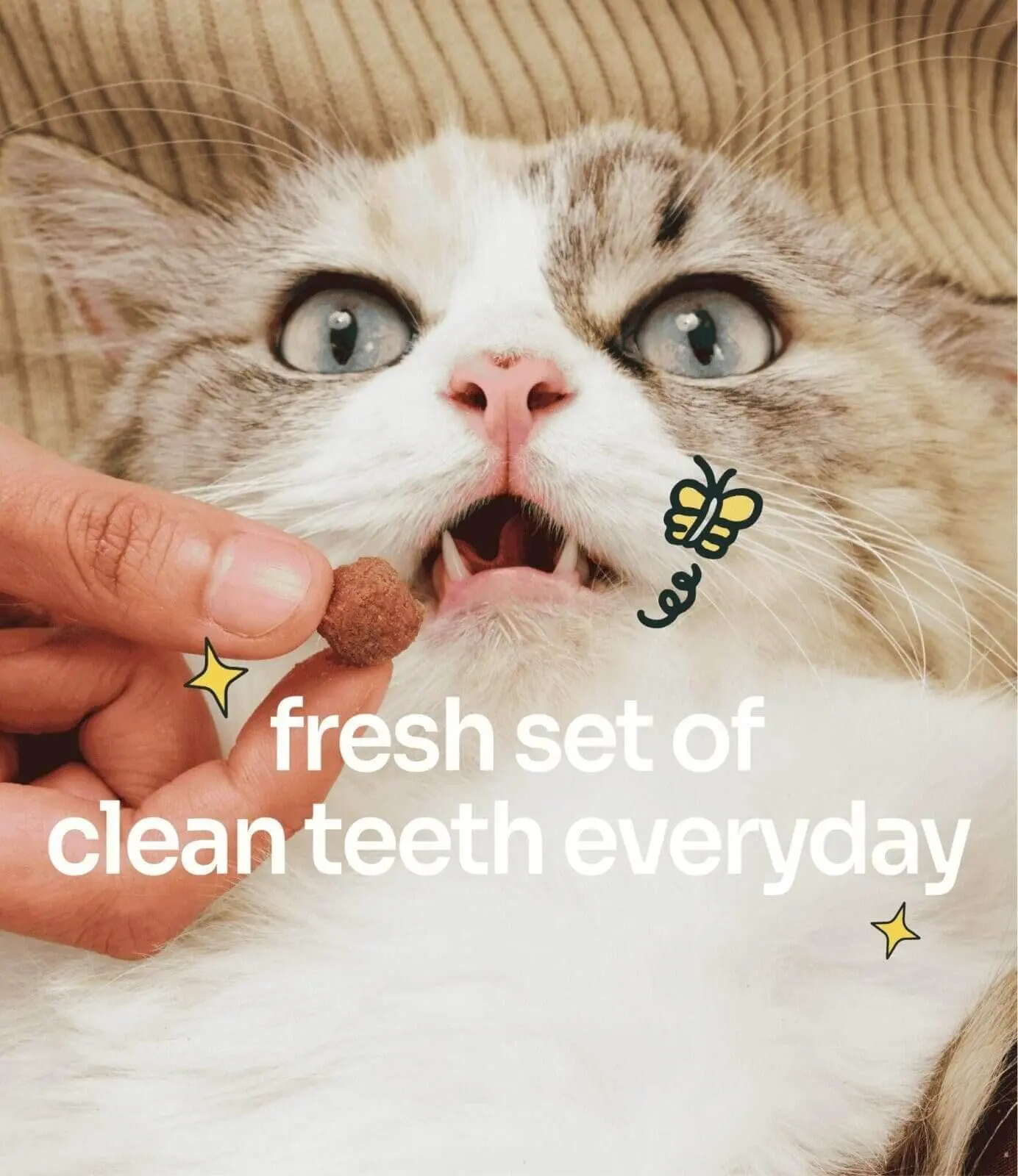 Mau Mau Plaque Control Dental Crunch (For Cats) - Image 5