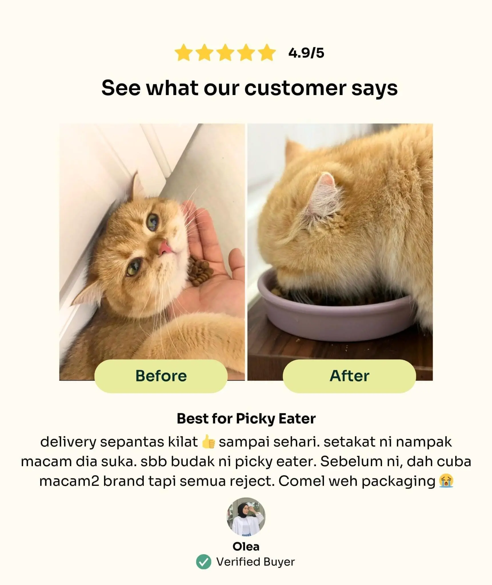 New Cat Pawrent Kit - Image 3
