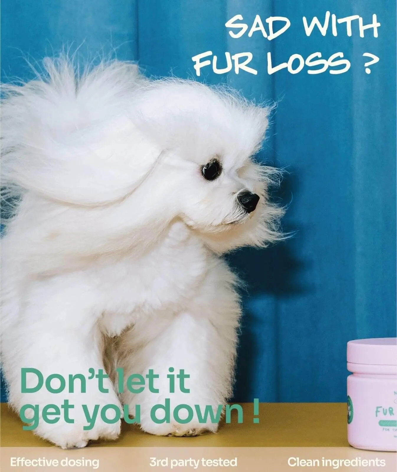 Notti but I Have Fur Loss - Image 3