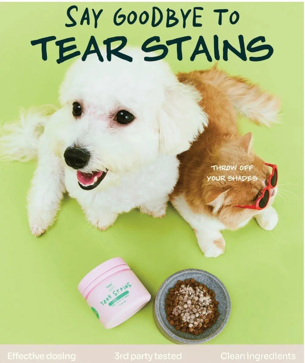 Notti But I Have Tear Stains - Image 9