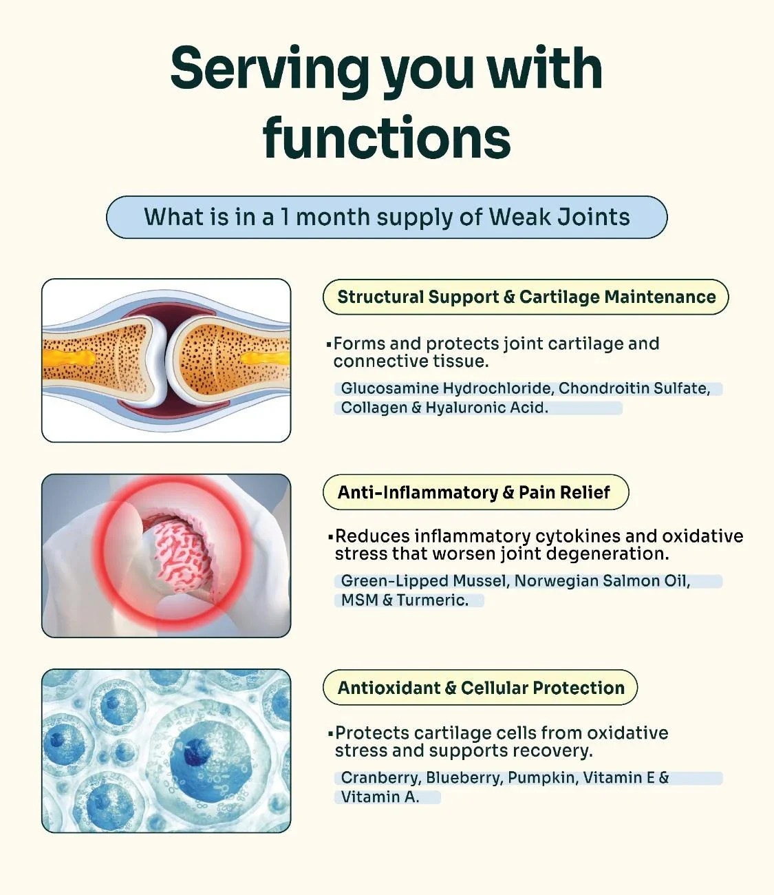 Notti But I Have Weak Joints - Image 3