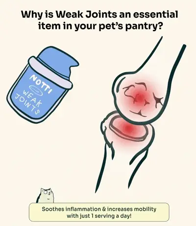 Notti But I Have Weak Joints - Image 7