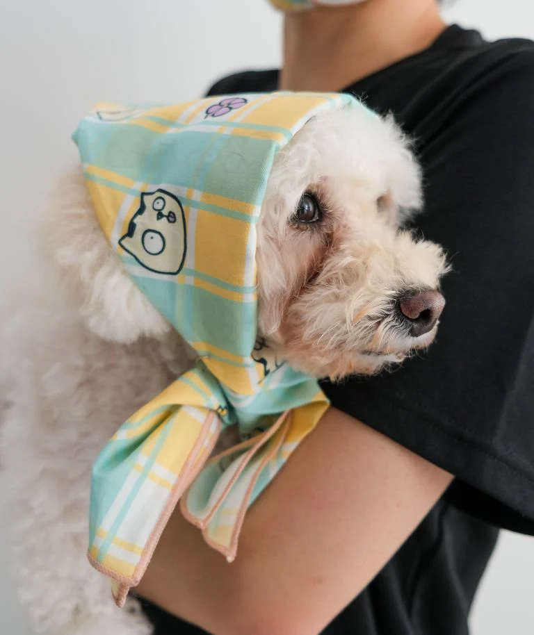 Notti Plaid Pals Scarf - Image 3