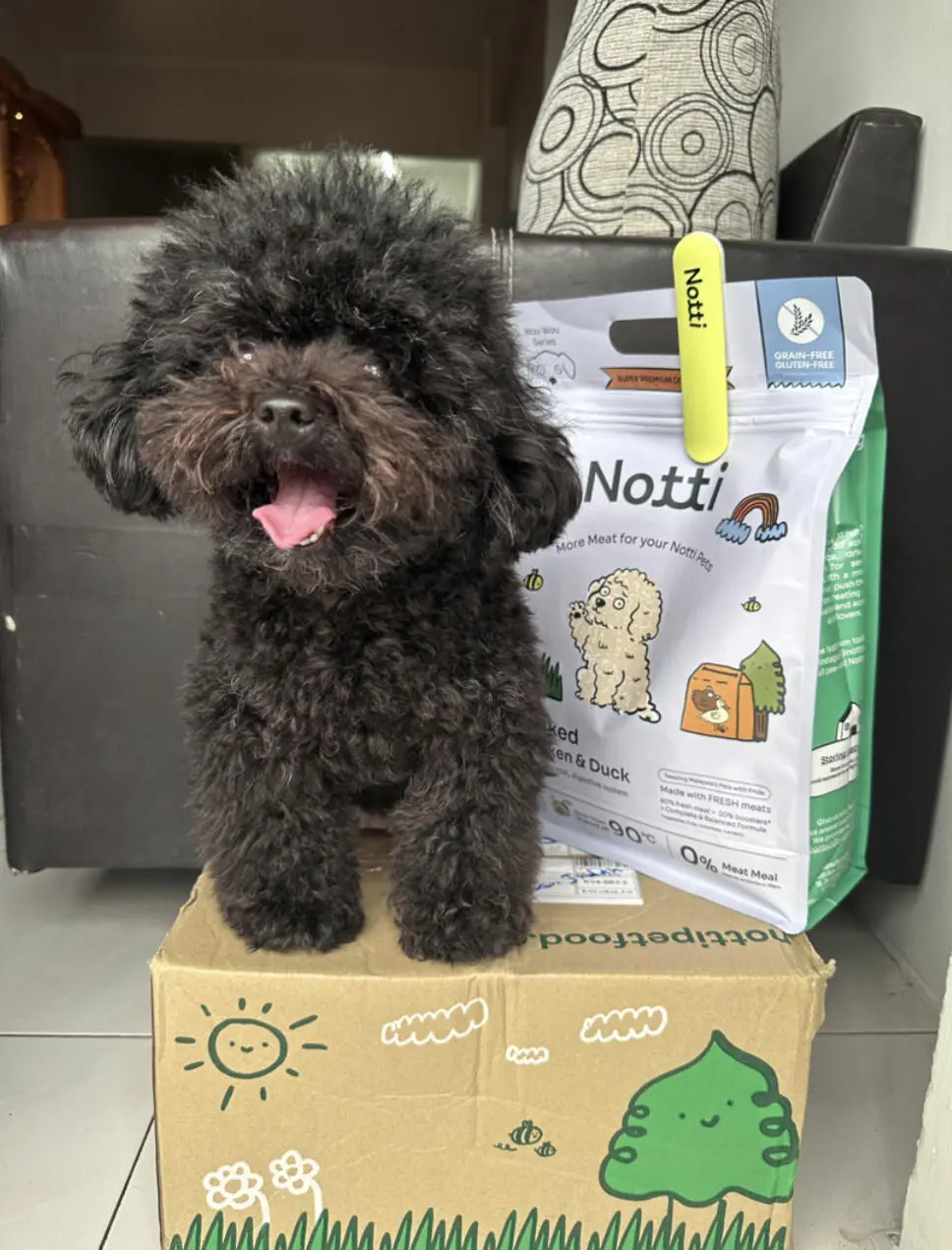 Notti Scoopi - Image 3
