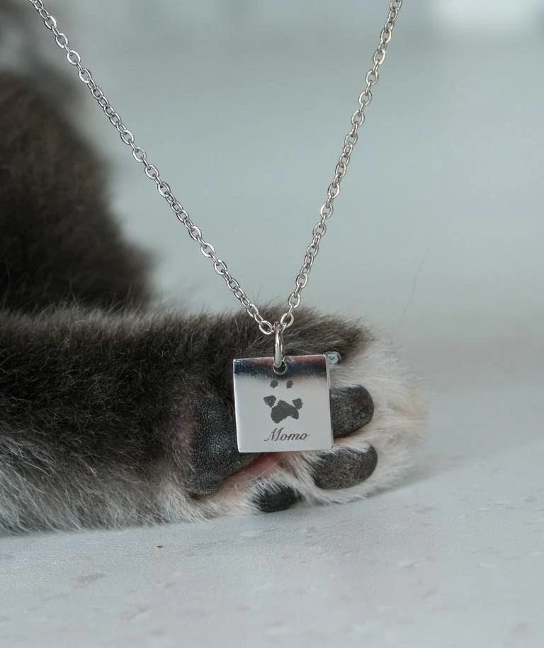 Notti x Gung Made To Last Paw Print Necklace [Silver] - Image 5