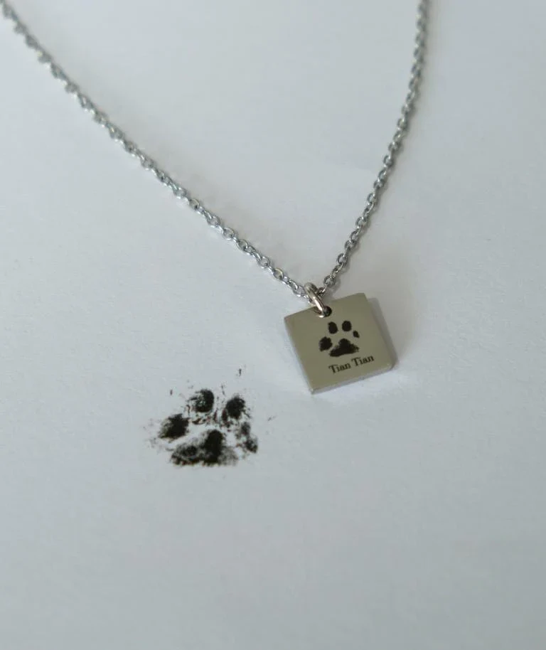 Notti x Gung Made To Last Paw Print Necklace [Silver] - Image 6